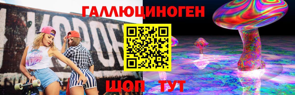 Галлюциногенные грибы Psilocybe Сафоново